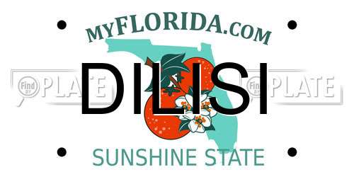 DILISI Florida License Plate