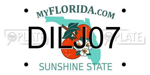 DILJ07 Florida License Plate