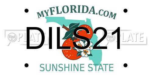 DILS21 Florida License Plate