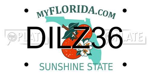 DILZ36 Florida License Plate