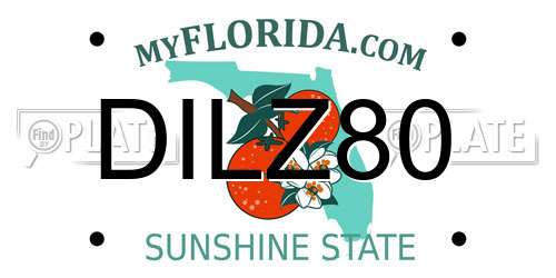 DILZ80 Florida License Plate