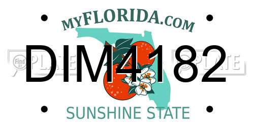 DIM4182 Florida License Plate