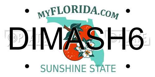 DIMASH6 Florida License Plate