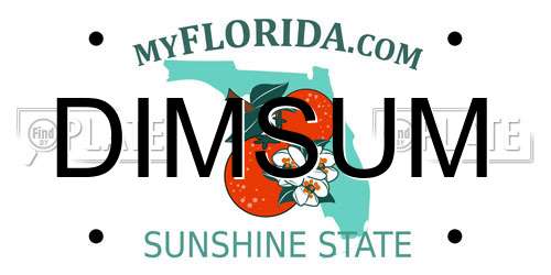 DIMSUM Florida License Plate