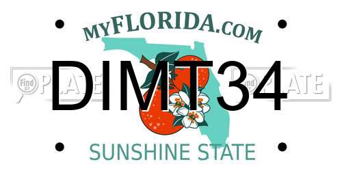 DIMT34 Florida License Plate