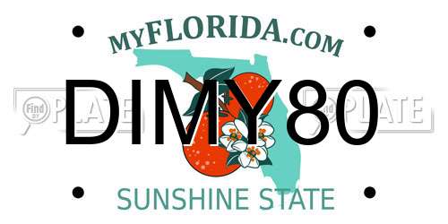 DIMY80 Florida License Plate