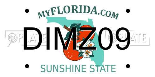 DIMZ09 Florida License Plate