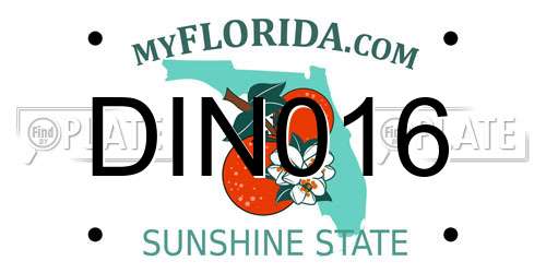 DIN016 Florida License Plate