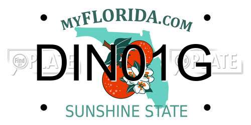 DIN01G Florida License Plate