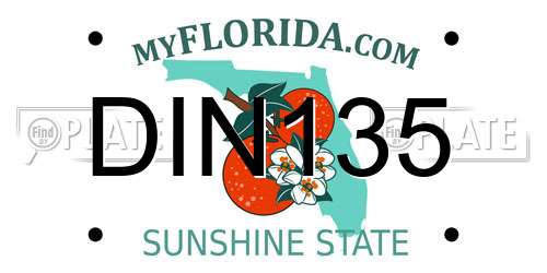 DIN135 Florida License Plate