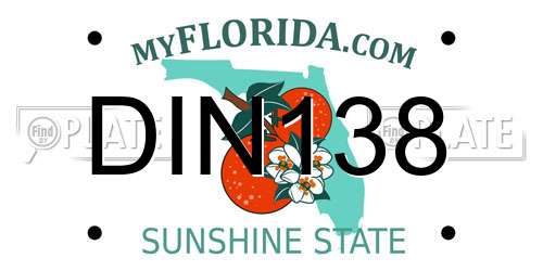 DIN138 Florida License Plate