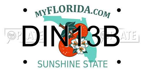 DIN13B Florida License Plate
