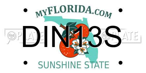 DIN13S Florida License Plate