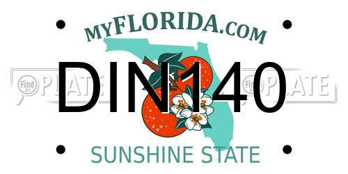 DIN140 Florida License Plate