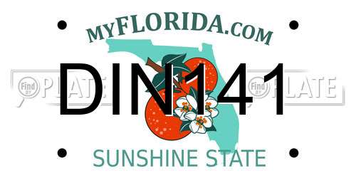 DIN141 Florida License Plate