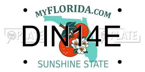 DIN14E Florida License Plate