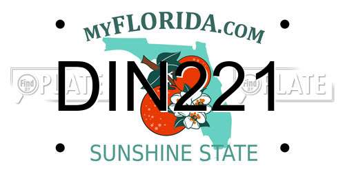 DIN221 Florida License Plate