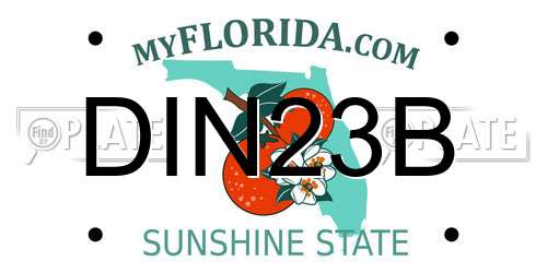 DIN23B Florida License Plate