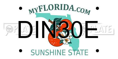 DIN30E Florida License Plate