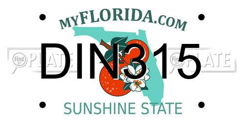 DIN315 Florida License Plate