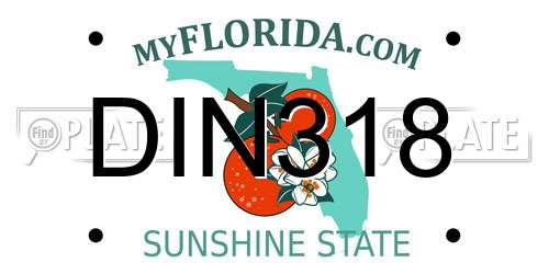 DIN318 Florida License Plate