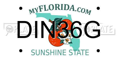 DIN36G Florida License Plate