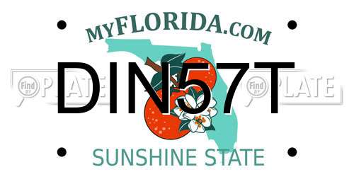DIN57T Florida License Plate