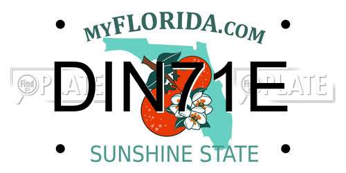DIN71E Florida License Plate