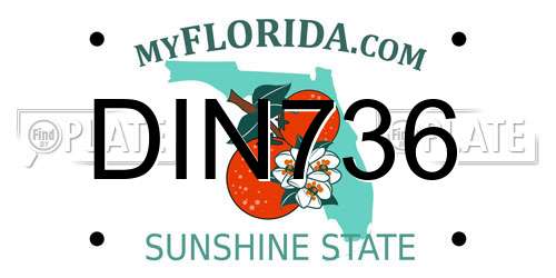 DIN736 Florida License Plate