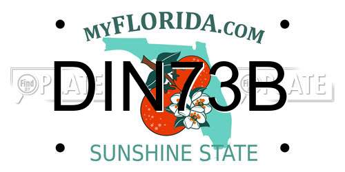 DIN73B Florida License Plate