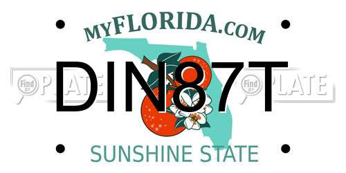 DIN87T Florida License Plate