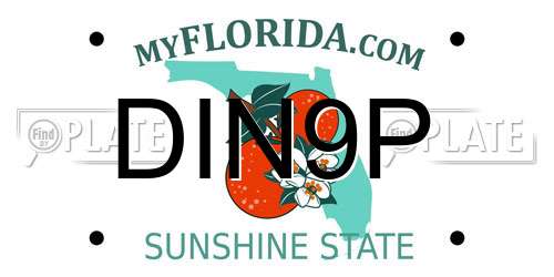 DIN9P Florida License Plate