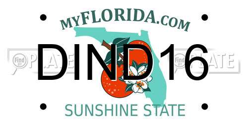 DIND16 Florida License Plate