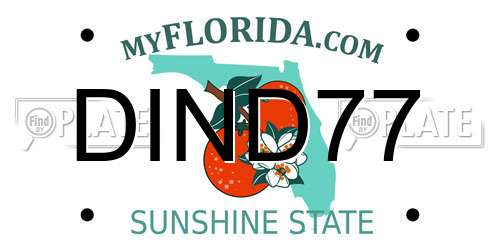 DIND77 Florida License Plate