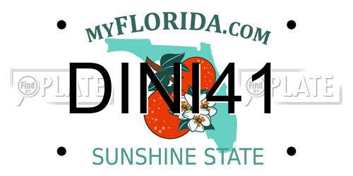 DINI41 Florida License Plate