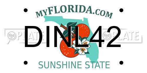 DINL42 Florida License Plate