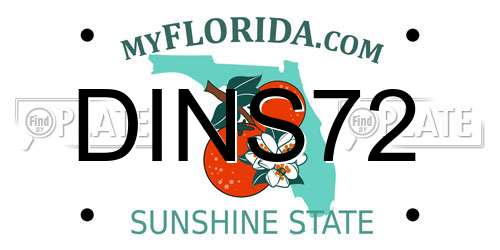 DINS72 Florida License Plate