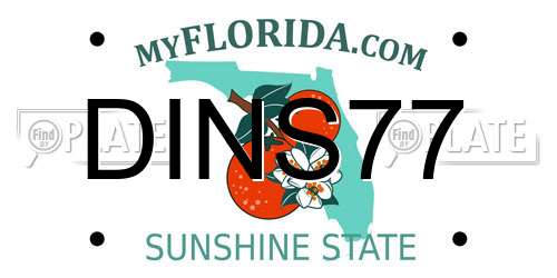 DINS77 Florida License Plate