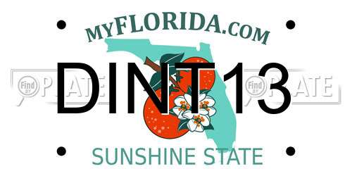 DINT13 Florida License Plate