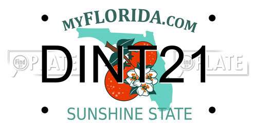 DINT21 Florida License Plate