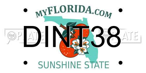 DINT38 Florida License Plate
