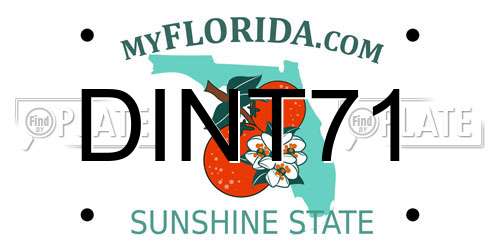 DINT71 Florida License Plate
