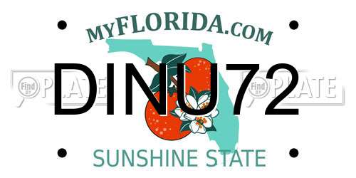 DINU72 Florida License Plate
