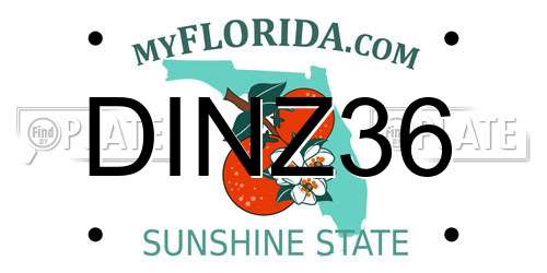 DINZ36 Florida License Plate