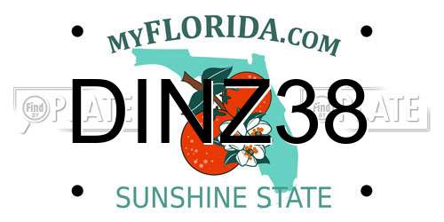 DINZ38 Florida License Plate
