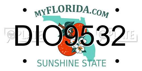 DIO9532 Florida License Plate