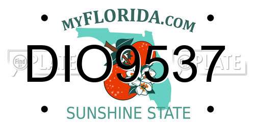 DIO9537 Florida License Plate