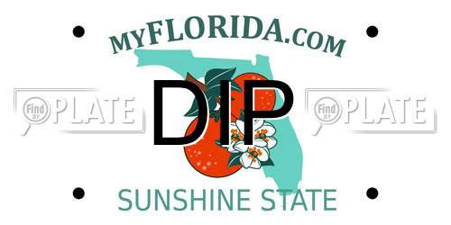 DIP Florida License Plate