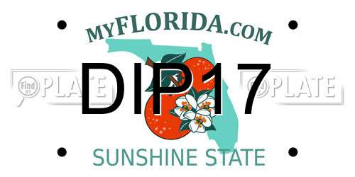 DIP17 Florida License Plate