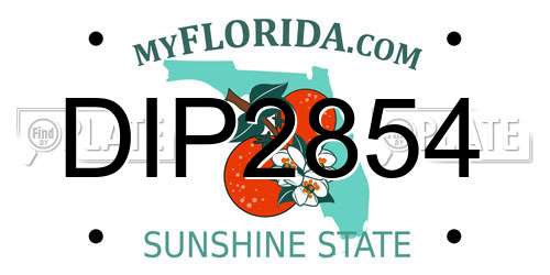 DIP2854 Florida License Plate
